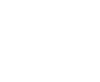 Logo Poliplus blanco